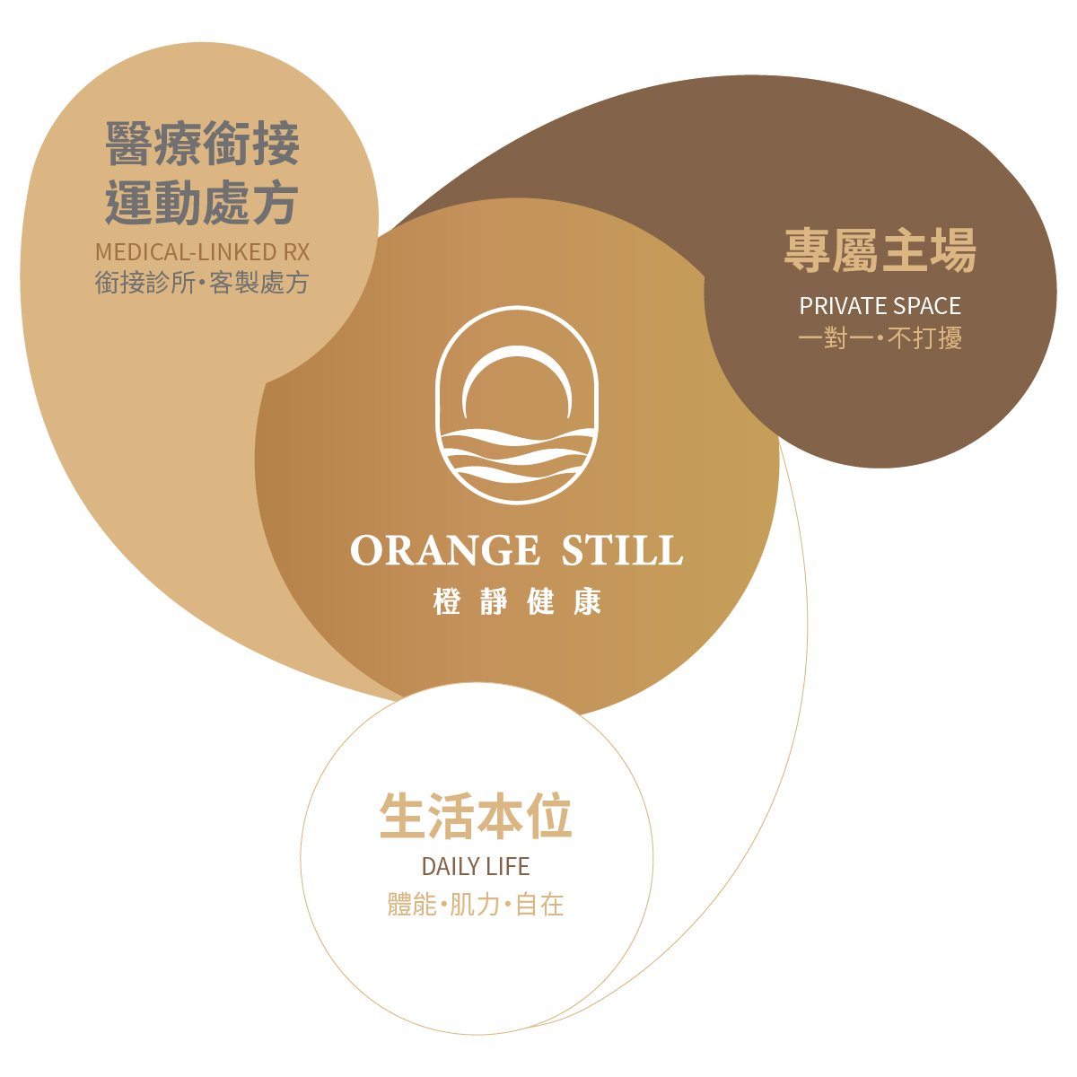 橙靜健康-品牌核心三角