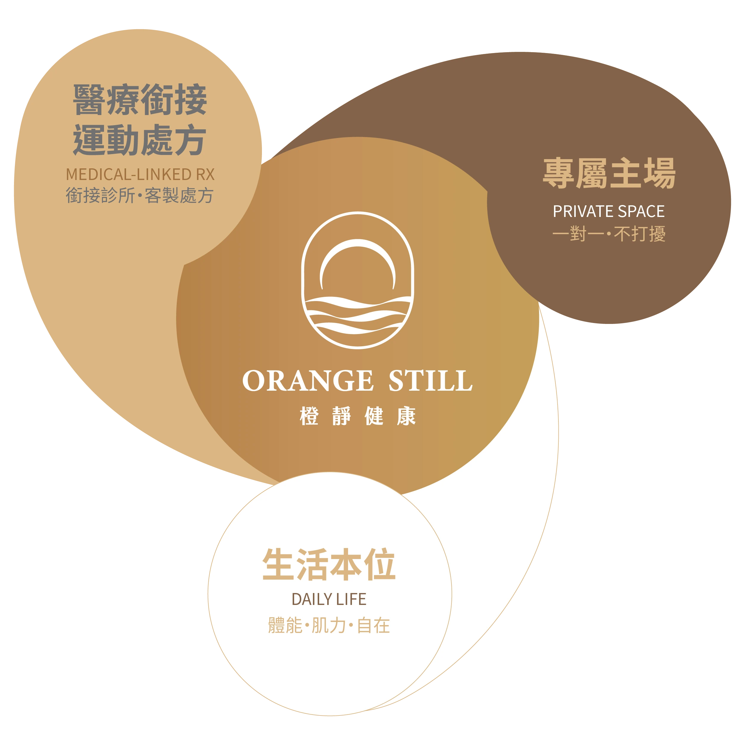 橙靜健康-品牌核心三角